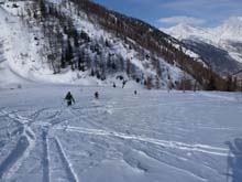 Testa_Cordella_12_68_D