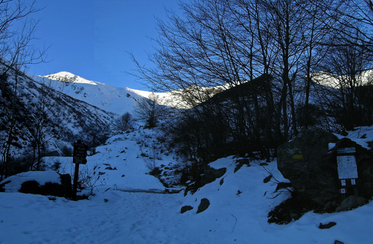 Bocciarda_06