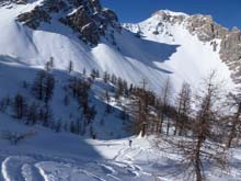P_Gardiol_Tr_Desertes_14_061
