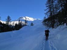 Testa_Frà_09
