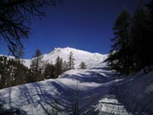 Testa_Frà_36a