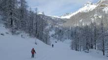 Cimetta_Rossa_Dondena_19_07