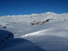 Col_Chardonnet_11_71