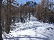 Soleglio_bue_Q_2413_Chialvetta_13_19