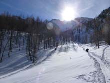 Soleglio_bue_Q_2413_Chialvetta_13_20