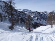 Soleglio_bue_Q_2413_Chialvetta_13_28