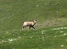 CIMA_PIAN_BALLAUR_19_101a