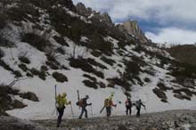 CIMA_SERPENTERA_N_19_008
