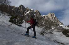 CIMA_SERPENTERA_N_19_013
