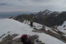 CIMA_SERPENTERA_N_19_032F