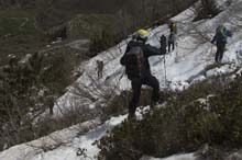 CIMA_SERPENTERA_N_19_079
