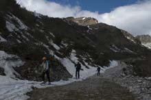 CIMA_SERPENTERA_N_19_086