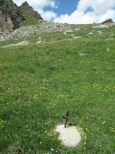 Gr_Aig_rousse_16_123