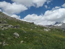 Gr_Aig_rousse_16_123a