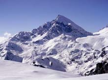 Col_Armoine_99_10_Viso_mozzo_Caricatore_36_D_99_32_