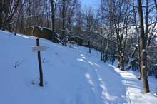 Rocca_Nonna_Q_1746_12