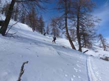 P_Corne_Bouc_13_030