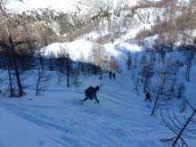 P_Corne_Bouc_13_094