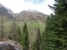 Colle_Guercia_12_85_S_Bernolfo