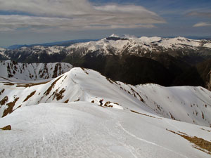 Discesa sulla dorsale, lato Val Tinée