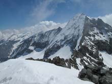 Cima_Autour_17_64z