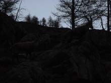 P_Rossa_Sea_13_03