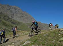 TM_Viso_2015-103