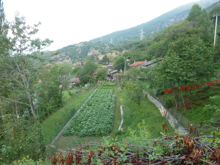 Susa_Rif_Riposa_13_20