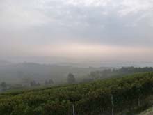 Langhe_La_Morra_Barolo_Novello_Monchiero_14_23