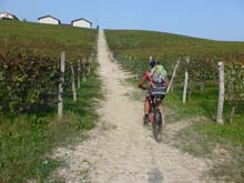 Langhe_La_Morra_Barolo_Novello_Monchiero_14_52