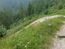 Villar_Pellice_Chiot_Sella_14_36
