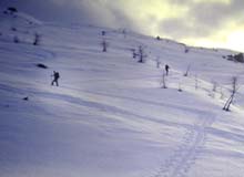 03_Spalla_Cima_Liste