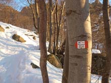 P_Lago_Sud_Trav_14_014