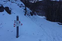 M_Baussetti_17_013