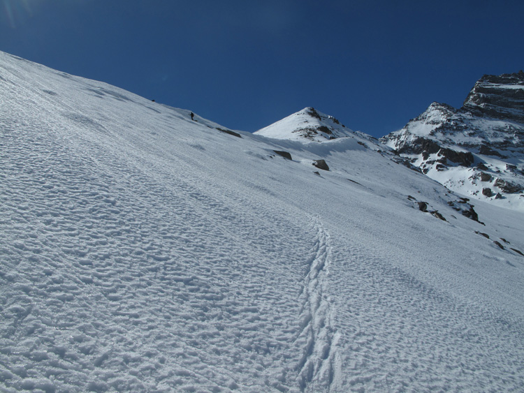 Cima_Fasce_17_37
