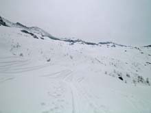 Autour_11
