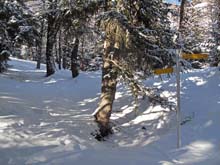 Col_Fenetre_Torgnon_10_17