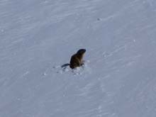 Colle_Cime_Bianche_inf_22