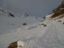 Cima_Test_11_04_Gias_Valcavera