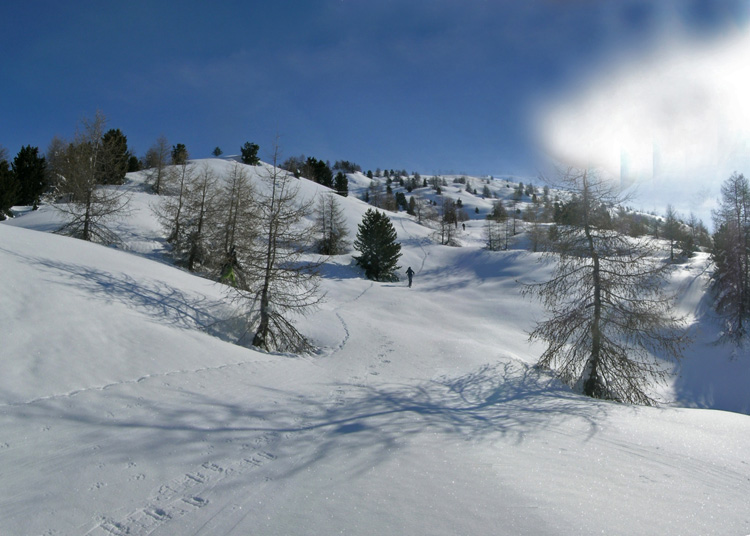 Cima_Bosco_Bousson_09_16_sopra_bosco