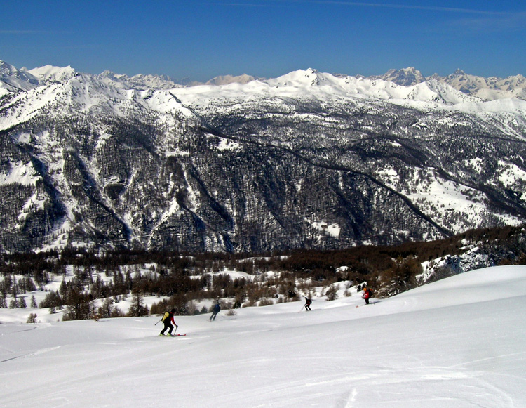 Cima_Bosco_Bousson_09_33_D