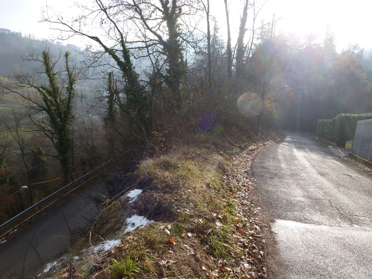 TO_Mad_Pilone_Mongreno_S_Mauro_P_Colletta_13_037