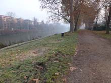 TO_Mad_Pilone_Mongreno_S_Mauro_P_Colletta_13_009
