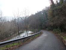 TO_Mad_Pilone_Mongreno_S_Mauro_P_Colletta_13_053