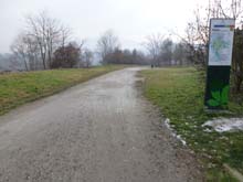 TO_Mad_Pilone_Mongreno_S_Mauro_P_Colletta_13_076