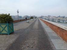 TO_Mad_Pilone_Mongreno_S_Mauro_P_Colletta_13_084