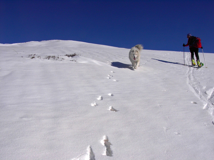 Leissè_07_Cani_Umani