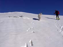 Leissè_07_Cani_Umani