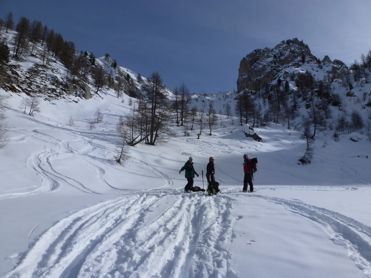 Soleglio_bue_Q_2413_Chialvetta_13_29