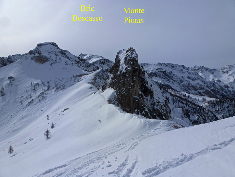 Soleglio_bue_Q_2413_Chialvetta_13_42a_Piutas_Bric_Boscasso